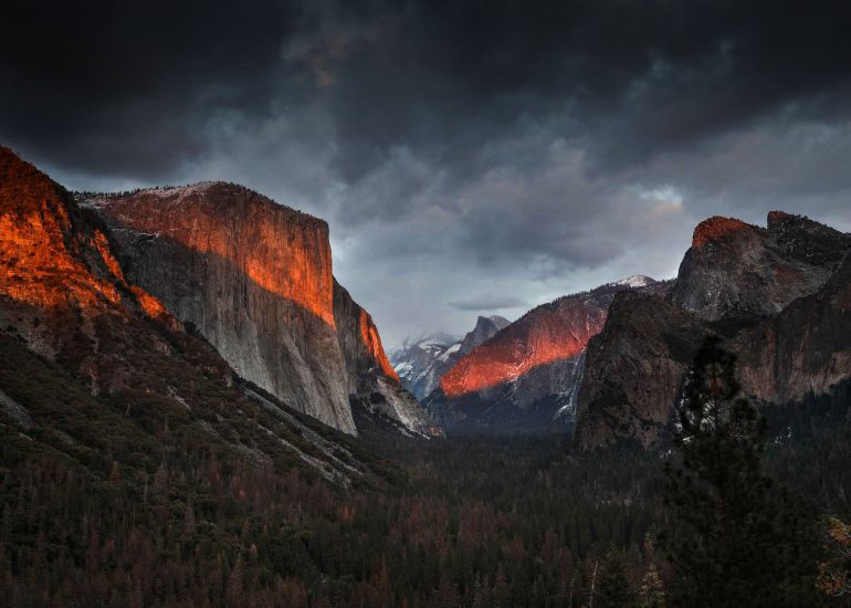 Motivational Posters