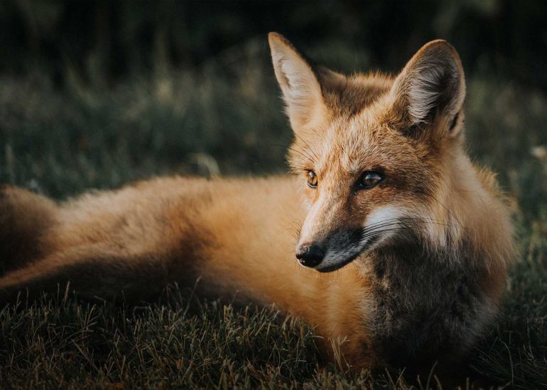 Motivational Posters